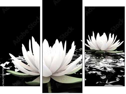 3d lotus on water - Three-piece canvas, Triptych