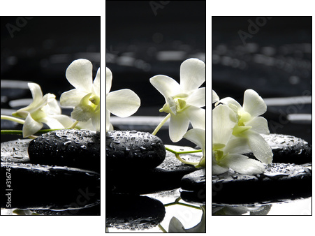 Zen stones and white orchids with reflection - Three-piece canvas, Triptych