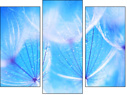 Soft dandelion flowers - Three-piece canvas, Triptych