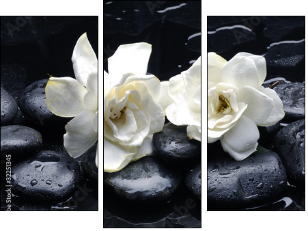Spa still life with gardenia flower on pebble - Three-piece canvas, Triptych