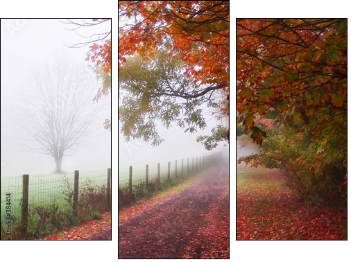 misty autumn morning - Three-piece canvas, Triptych