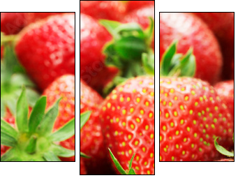 Strawberries closeup - Three-piece canvas, Triptych