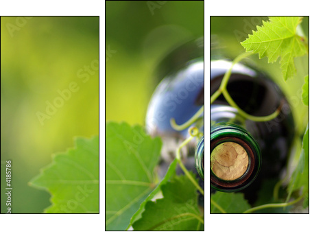 Bottle of wine between grapevine leves. - Three-piece canvas, Triptych