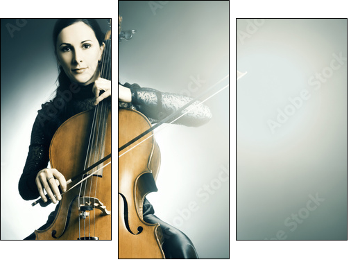 Cello musical instrument musician cellist playing - Three-piece canvas, Triptych