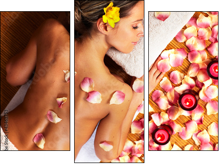 Young woman in Spa massage salon. - Three-piece canvas, Triptych
