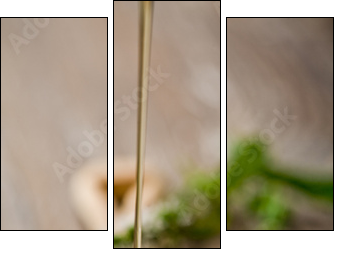 wild honey - Three-piece canvas, Triptych