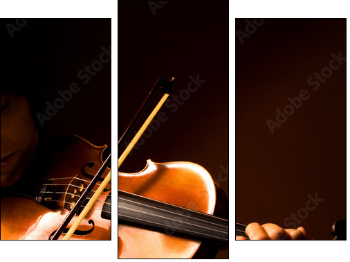 violoniste - Three-piece canvas, Triptych