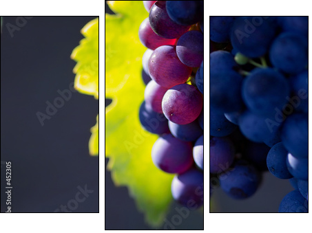 glowing dark wine grapes - Three-piece canvas, Triptych