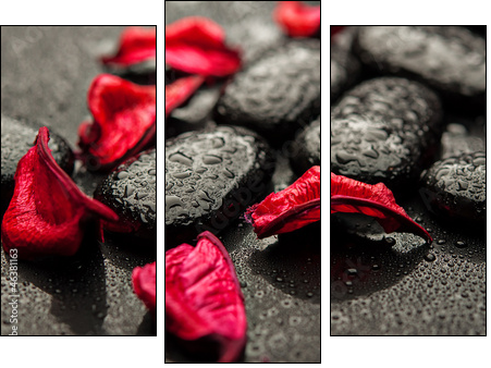 background spa. black stones and red petals with water droplets - Three-piece canvas, Triptych