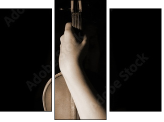 old violin - Three-piece canvas, Triptych