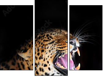 Leopard - Three-piece canvas, Triptych