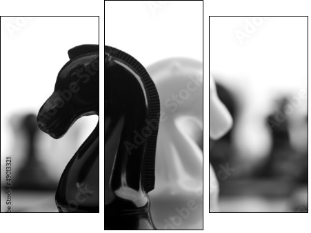 black and white knights - Three-piece canvas, Triptych