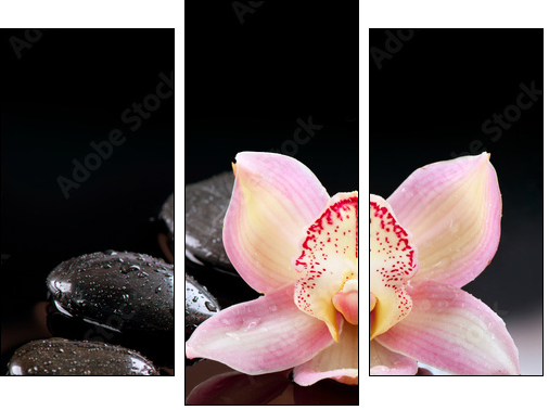 Zen Stones and Orchid Flower. Stone Massage - Three-piece canvas, Triptych