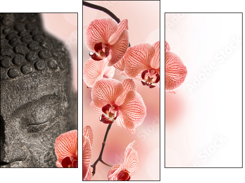 Bouddha et orchidÃ©e rouge - Three-piece canvas, Triptych