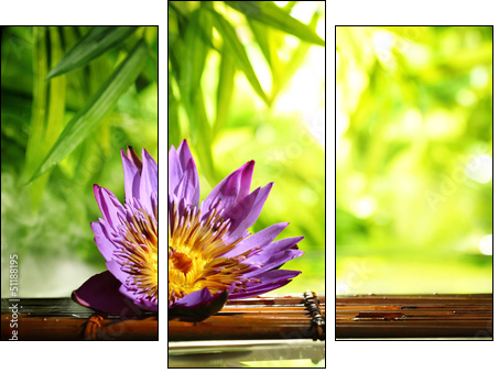 Spa still life with lotus float on water - Three-piece canvas, Triptych