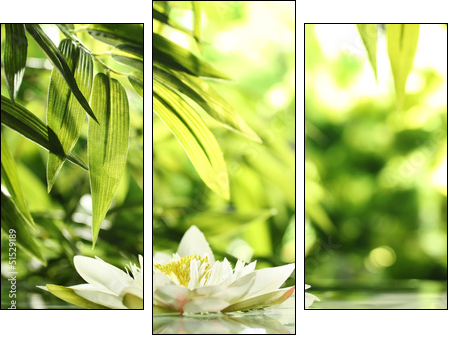water lily - Three-piece canvas, Triptych