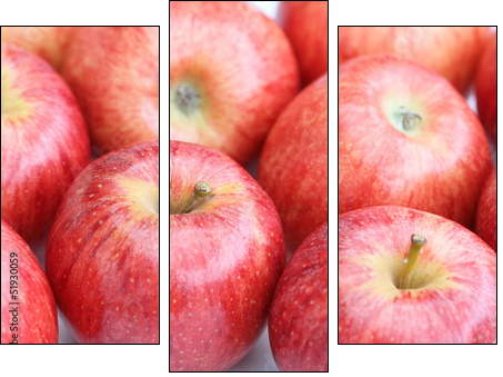 viele rote Ãpfel - Three-piece canvas, Triptych
