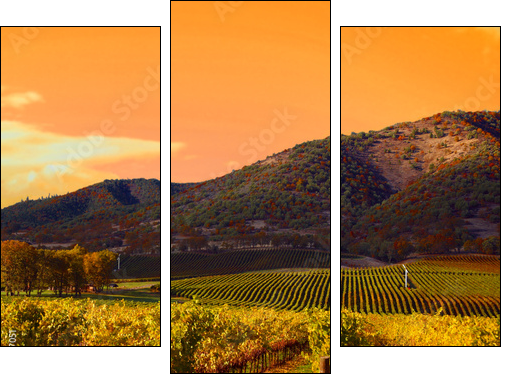 Vineyard Sunset - Three-piece canvas, Triptych