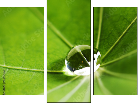 Water drop on green leaf - Three-piece canvas, Triptych