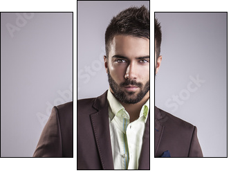 Elegant young handsome man. Studio fashion portrait. - Three-piece canvas, Triptych
