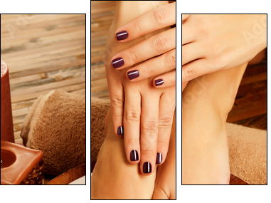 female feet at spa salon on pedicure procedure - Three-piece canvas, Triptych