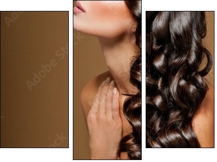 beautiful brunette with long  curly hair - Three-piece canvas, Triptych