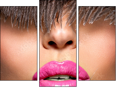  Closeup Beautiful female lips with pink  lipstick - Three-piece canvas, Triptych