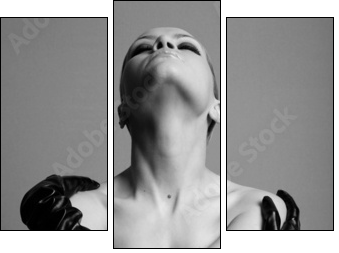 nude elegant girl with the gloves. Studio fashion photo. - Three-piece canvas, Triptych