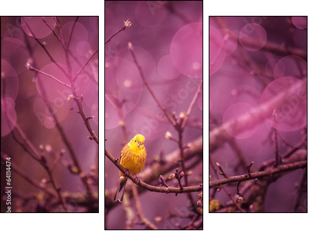 Yellowhammer siiting on a branch in a purple inviroment - Three-piece canvas, Triptych