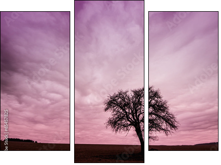 Tree Silhouette with Colorful Pink Sky - Three-piece canvas, Triptych