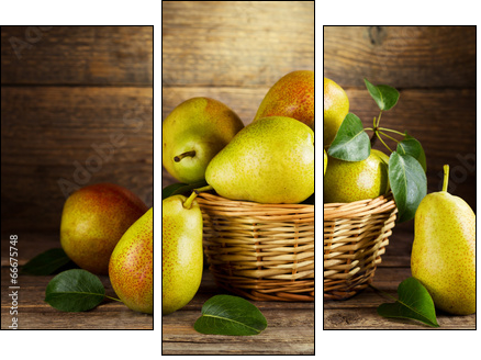 still life with fresh pears - Three-piece canvas, Triptych