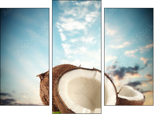coconuts - Three-piece canvas, Triptych