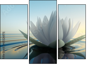 LotusblÃ¼te im See - Three-piece canvas, Triptych