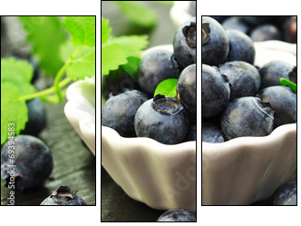 Blaubeeren - Three-piece canvas, Triptych