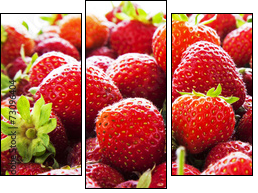 Strawberry panorama. - Three-piece canvas, Triptych