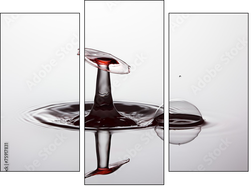Water drop close up - Three-piece canvas, Triptych