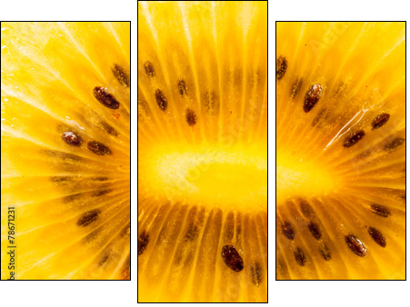 Yellow kiwi fruit on a white background - Three-piece canvas, Triptych