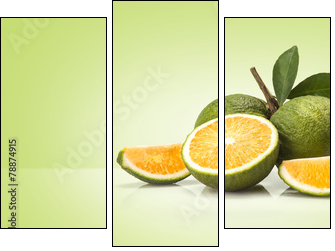 Green sweet oranges fruit - Three-piece canvas, Triptych