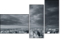 11361747