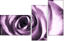11865044