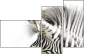 17246984