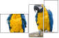 18738718