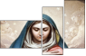 21622878