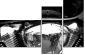 23943904