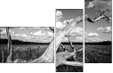 26523822