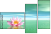 29216817