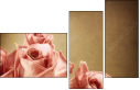 29543249