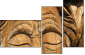 35042971