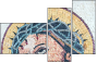 36471508