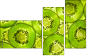 39788050